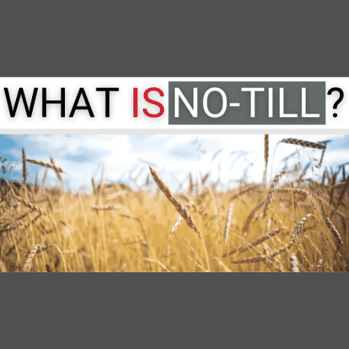 Ryan NT (RFM NT) What is no-till farming