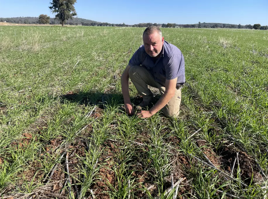 Austen Moore zero till seeder discs on an rfm