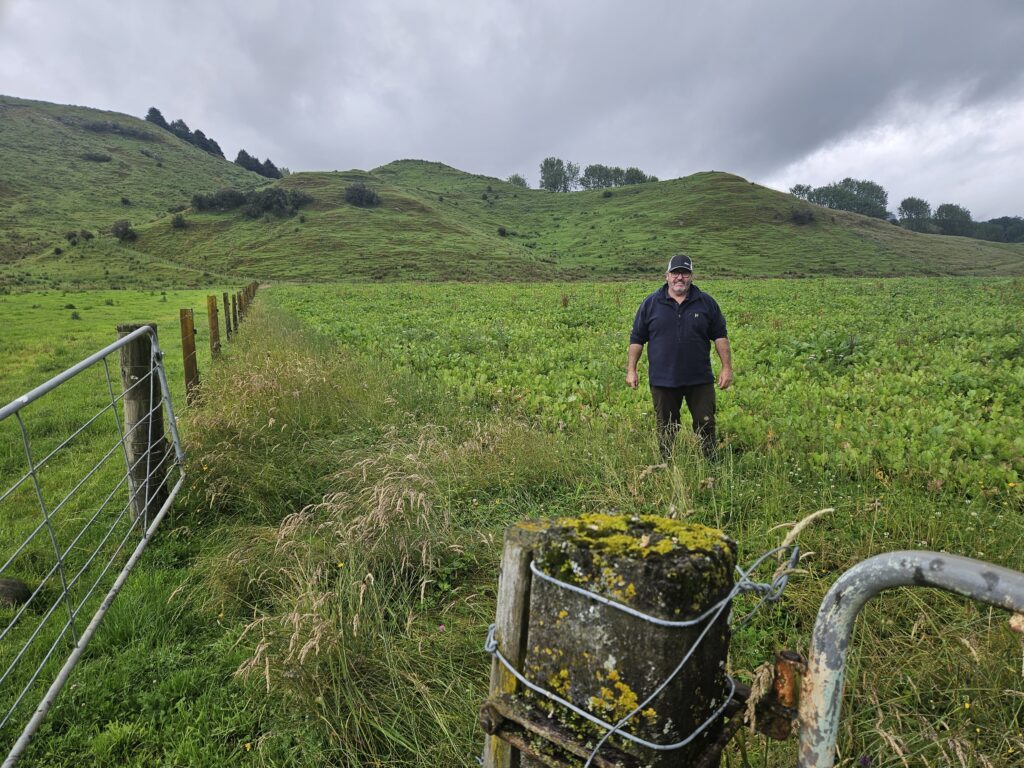 RYAN Discs on Duncan Seed Drills. Fielding, New Zealand