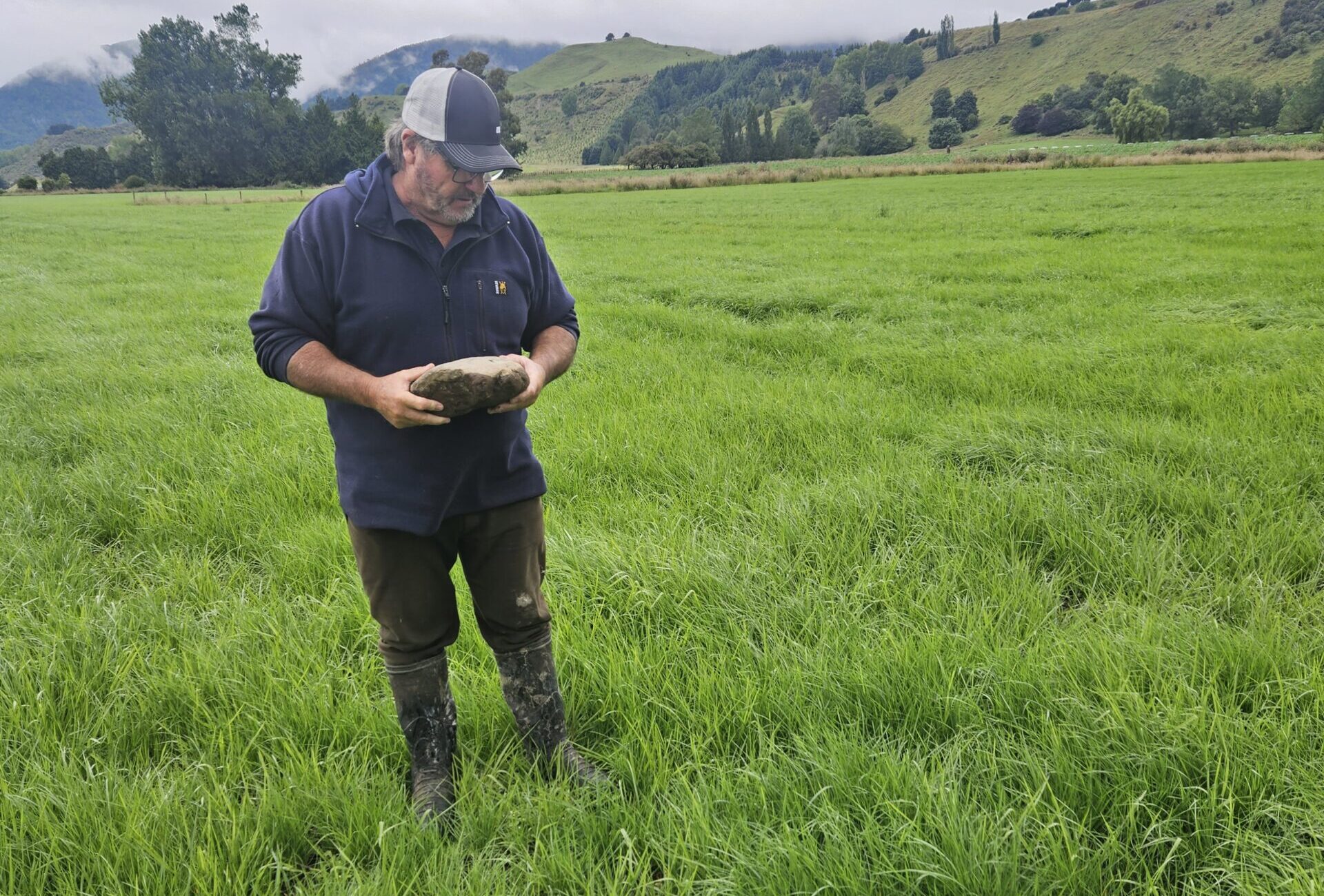 RYAN Discs on Duncan Seed Drills. Fielding, New Zealand
