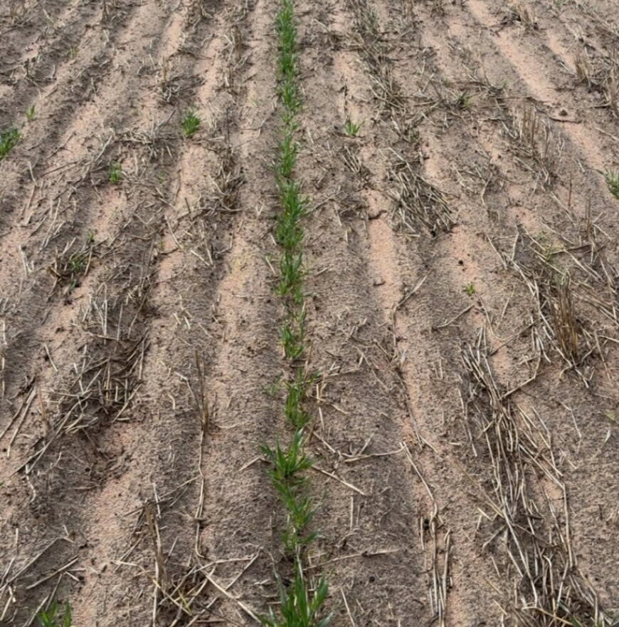tyne vs disc - single row trial in sa